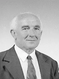 Berregi István